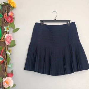 Jcrew Navy Pleated Skirt